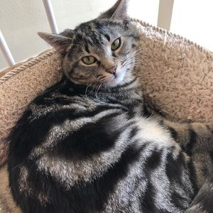 Meet your Posher, Aria